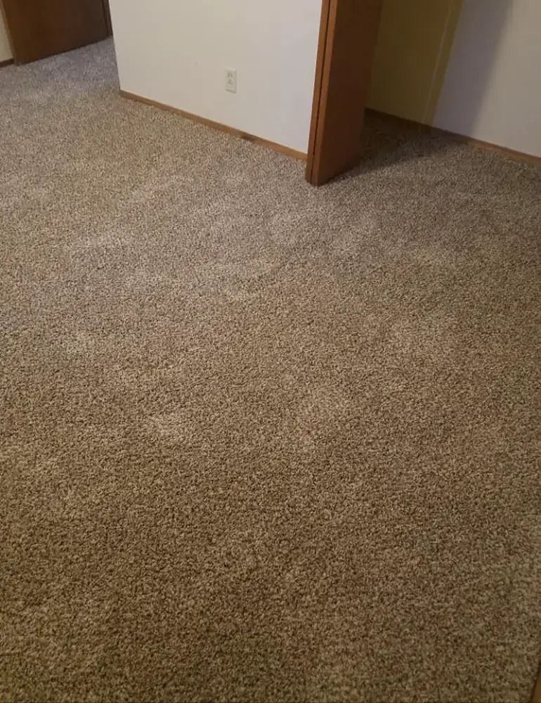 Empty carpeted room with beige carpet, white walls, and an open doorway.