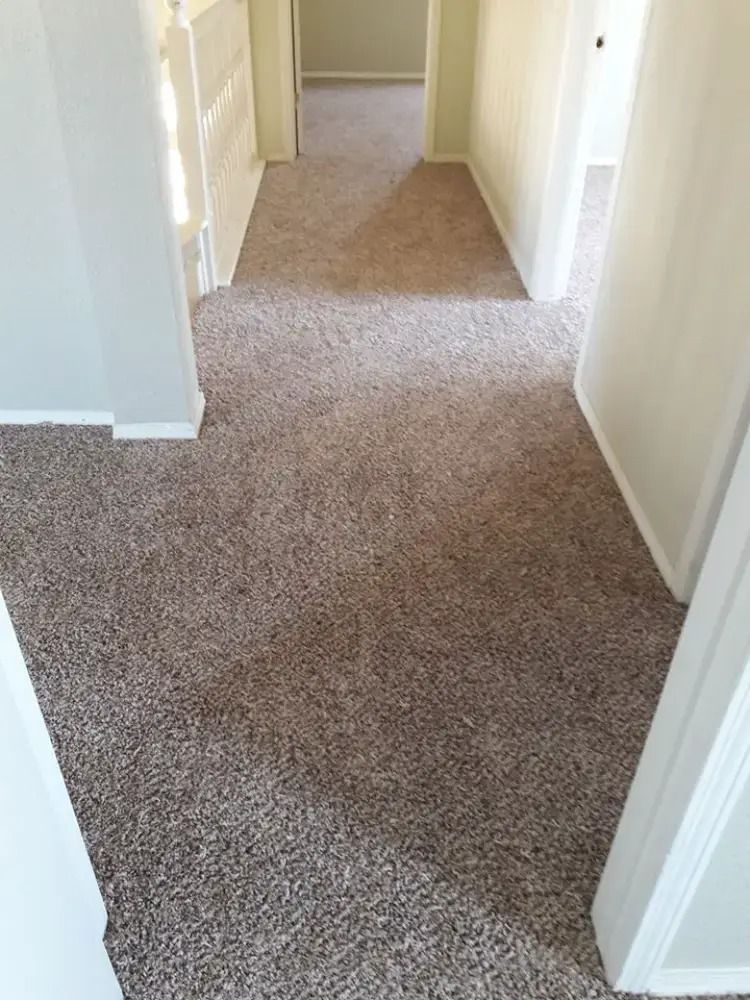 Carpeted hallway with white walls and doorways, viewed from a doorway.
