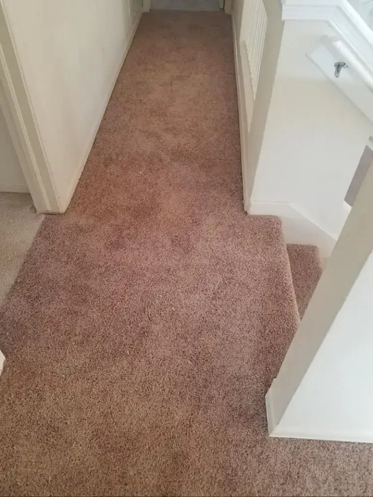 Beige carpeted hallway with a step down to a lower floor section