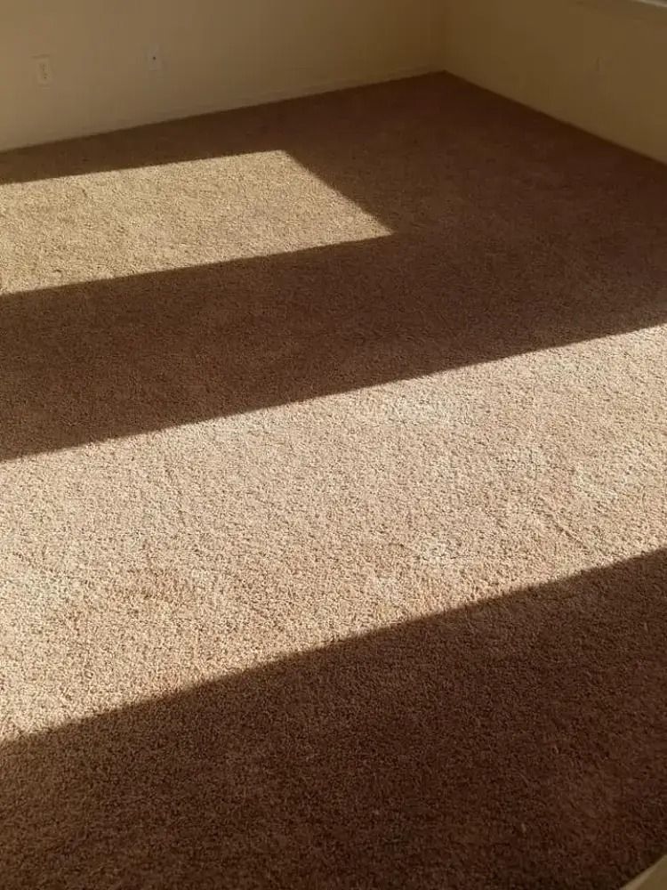 Sunlit beige carpet in an empty corner of a room with shadows on the floor and wall