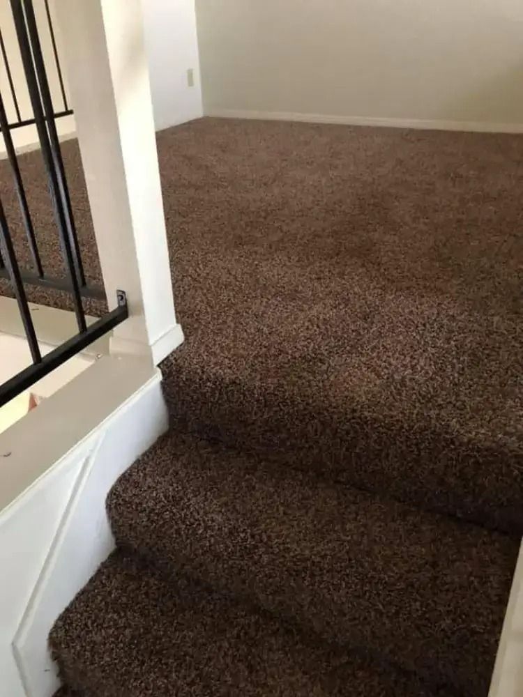 Carpeted indoor staircase with brown carpet and white trim beside a black railing.