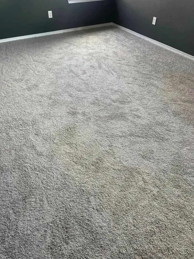Empty room with gray carpet and dark walls, lit by natural light from a window.