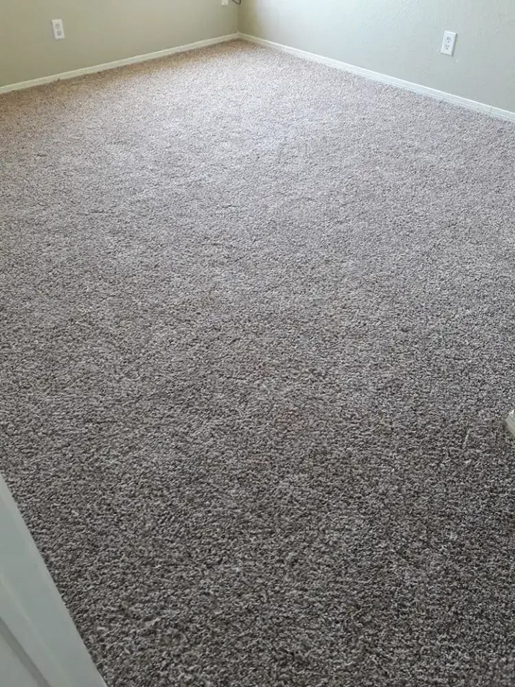 Empty beige-carpeted room with light green walls and white baseboards, viewed from the doorway