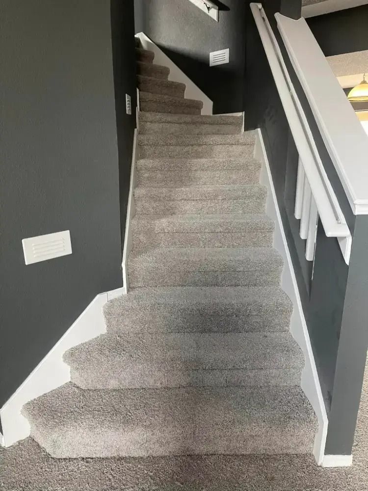 Carpeted staircase with dark walls and white handrails in a narrow hallway