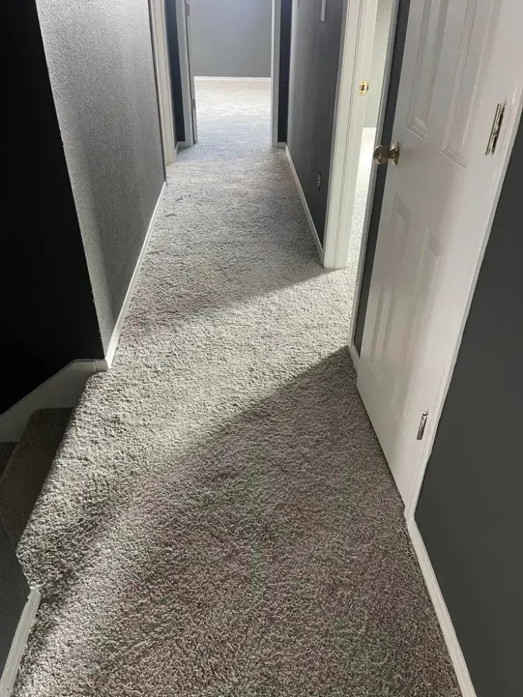 Narrow carpeted hallway with white doors and gray walls, lit by daylight from an open doorway ahead