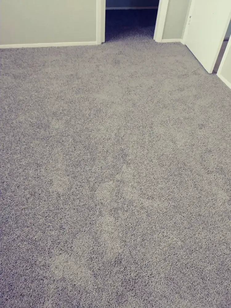 Gray carpeted hallway with open doorways leading into a darker room.