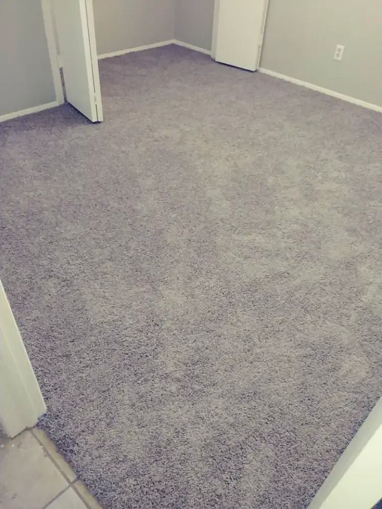 Empty carpeted room with light gray walls and an open door on the left.