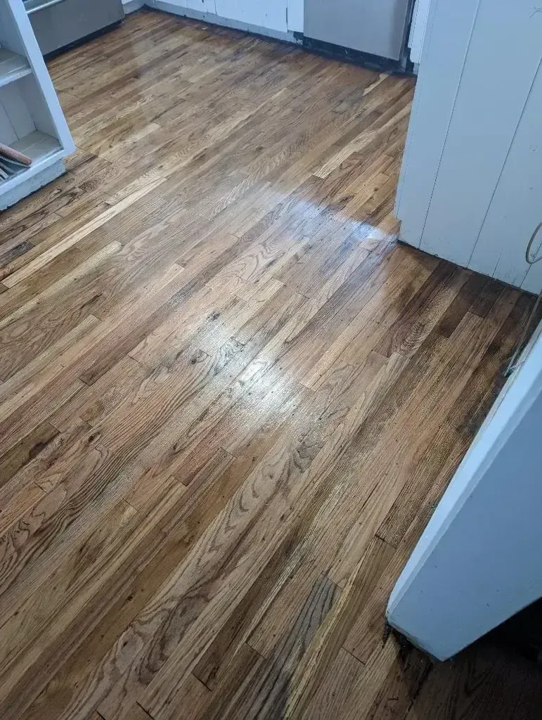 Wooden floor in a hallway with white door frames and a cabinet edge visible.