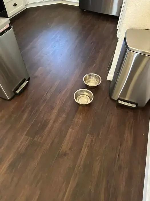 Kitchen floor with two pet bowls on dark wood flooring near stainless steel appliances