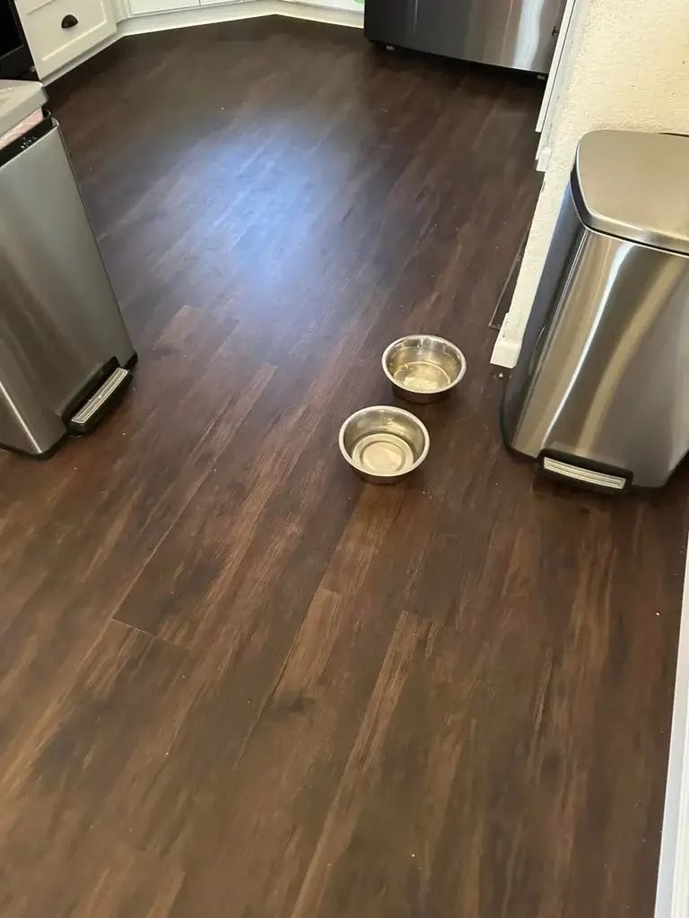Two pet bowls on a dark wood kitchen floor between stainless steel appliances.