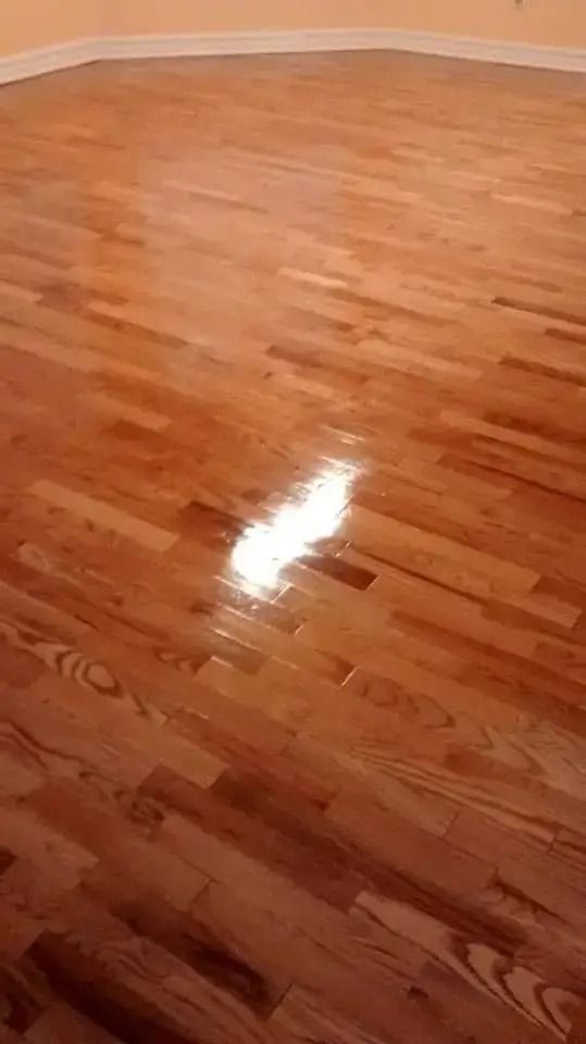 Empty room with glossy hardwood floor and curved beige wall reflections