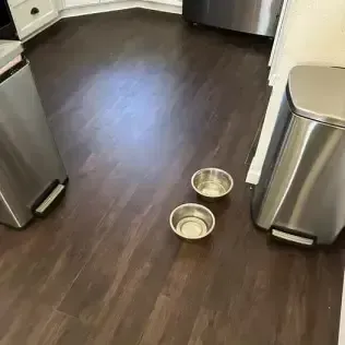 Kitchen floor with two pet bowls between stainless steel appliances and cabinets