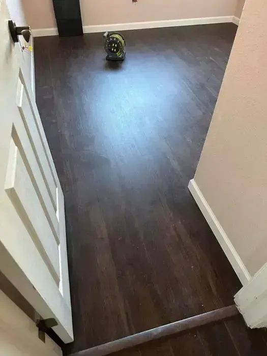 Hallway with dark wood floor and a small green toy centered near the far wall.