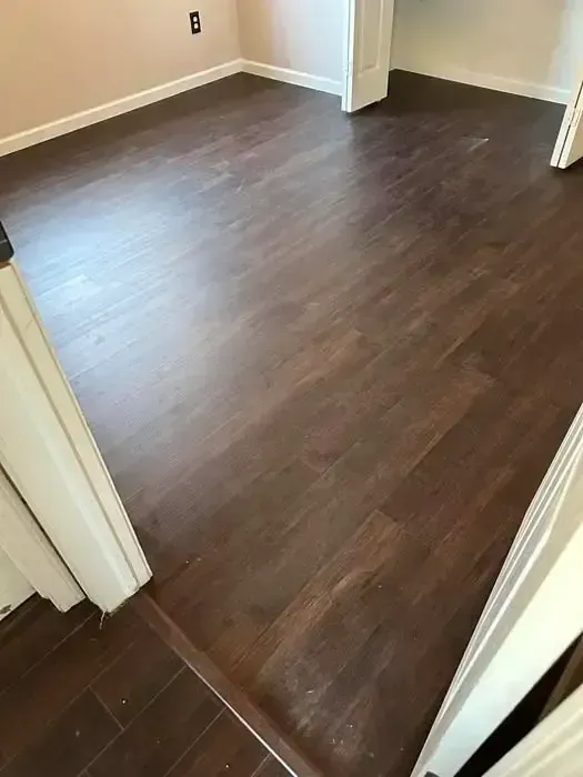 Empty room with dark wood flooring and beige walls, seen through a doorway.
