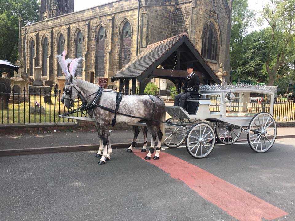grey Horse Drawn Hearse