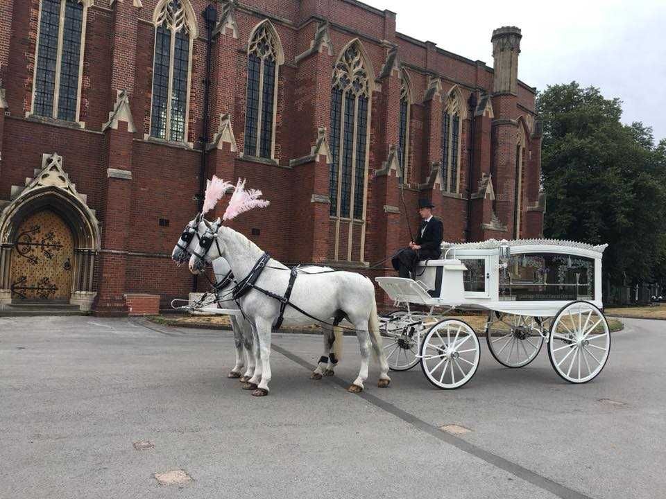 white Horse Drawn Hearse