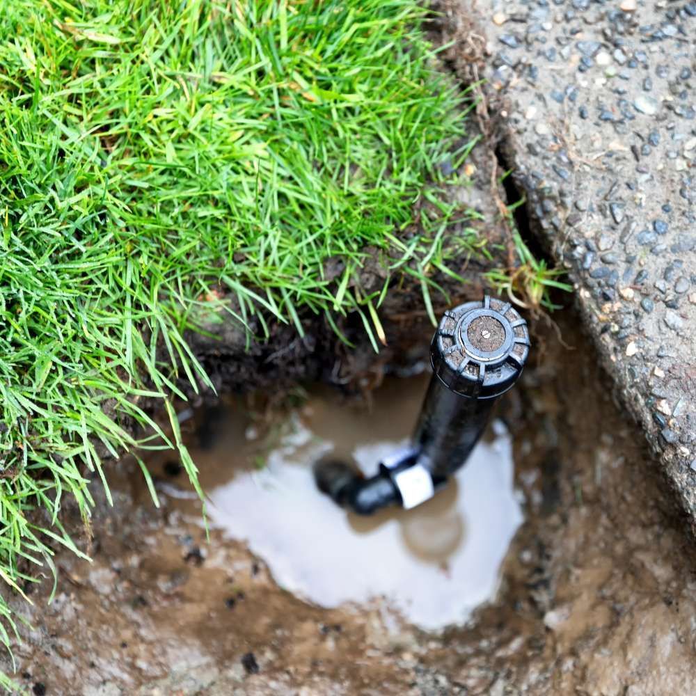 Sprinkler repair maintenance