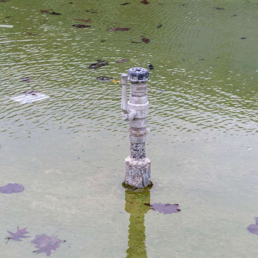 Pond fountain