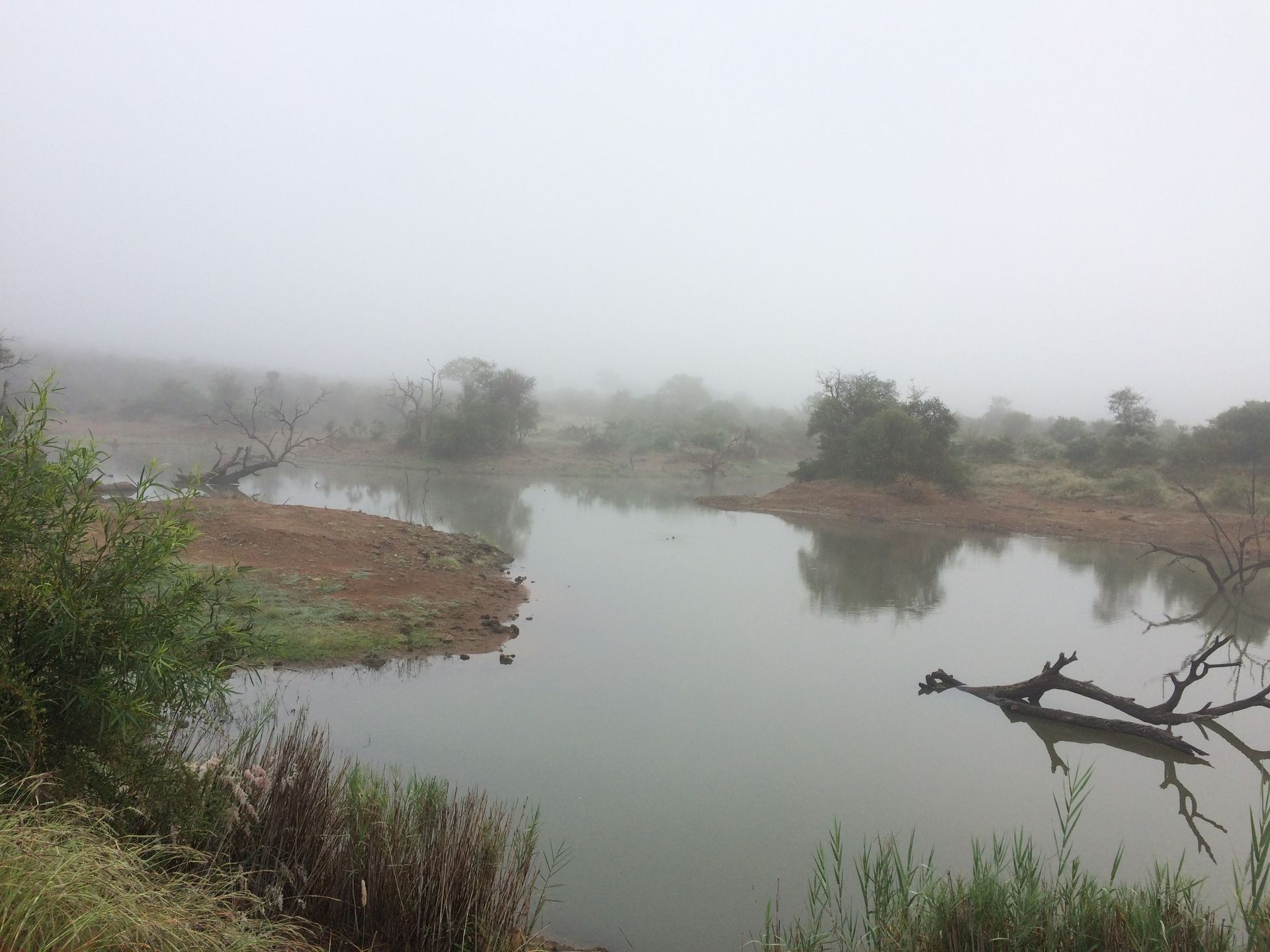 Pilanesberg Scenery