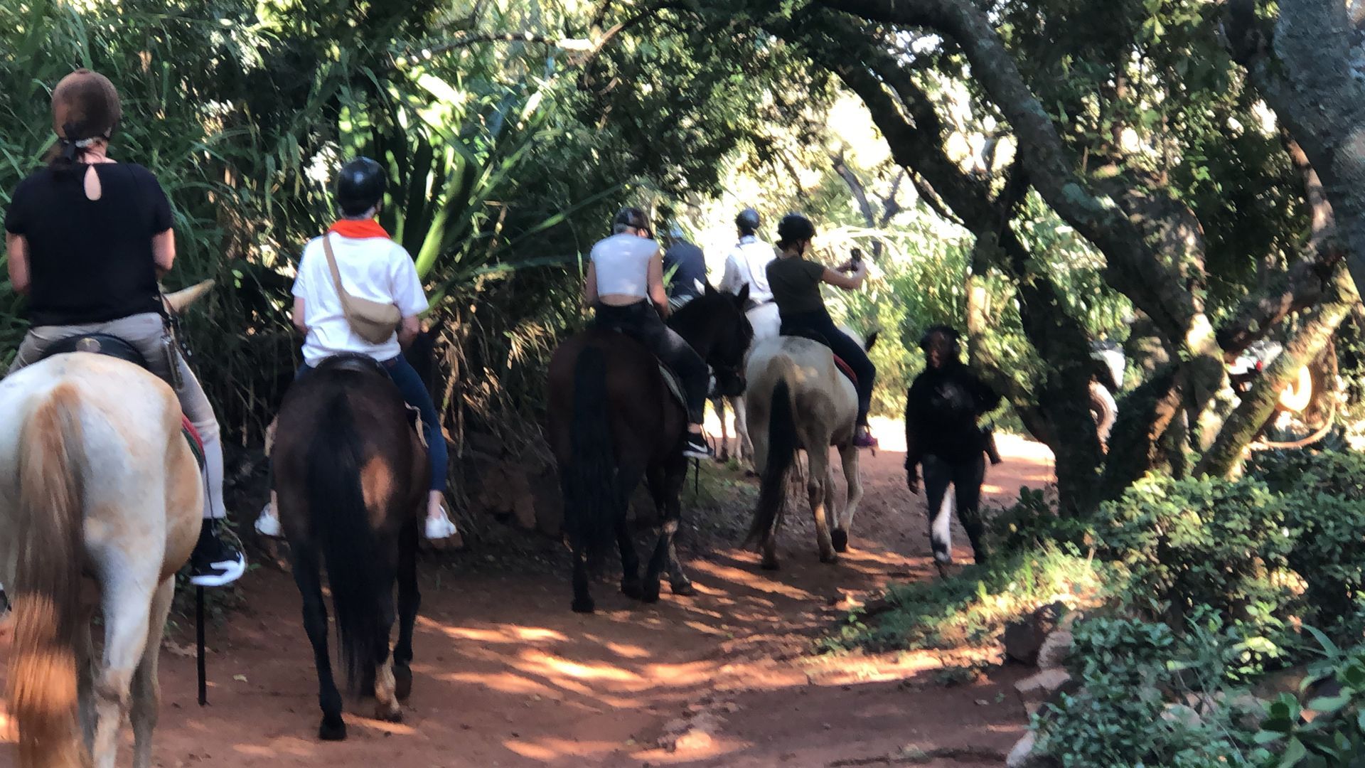 Riding horses in a Nature Reserve