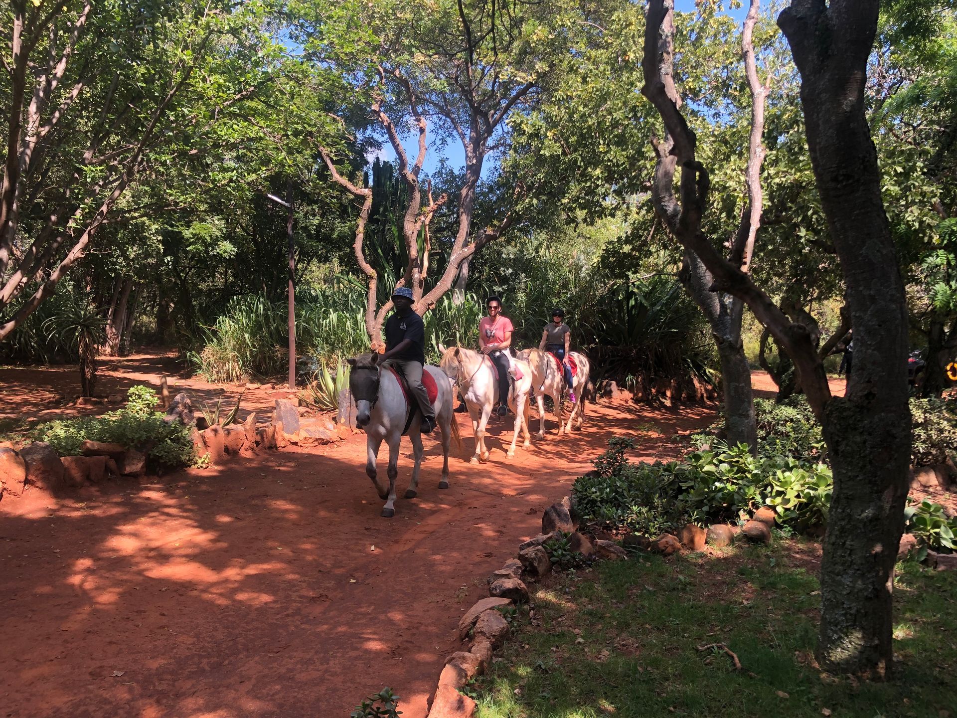 Horseback Safari fromJohannesburg