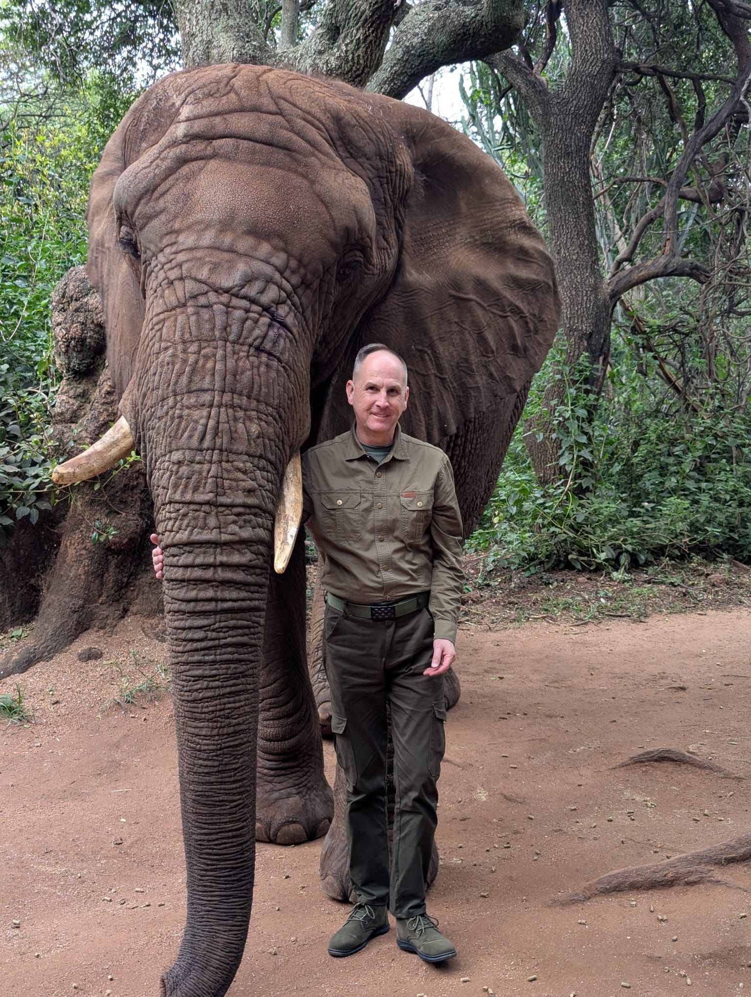 Elephant Interaction - Johannesburg