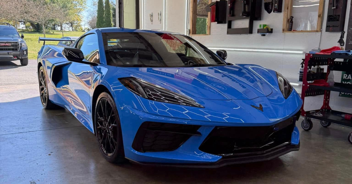 expert paint correction