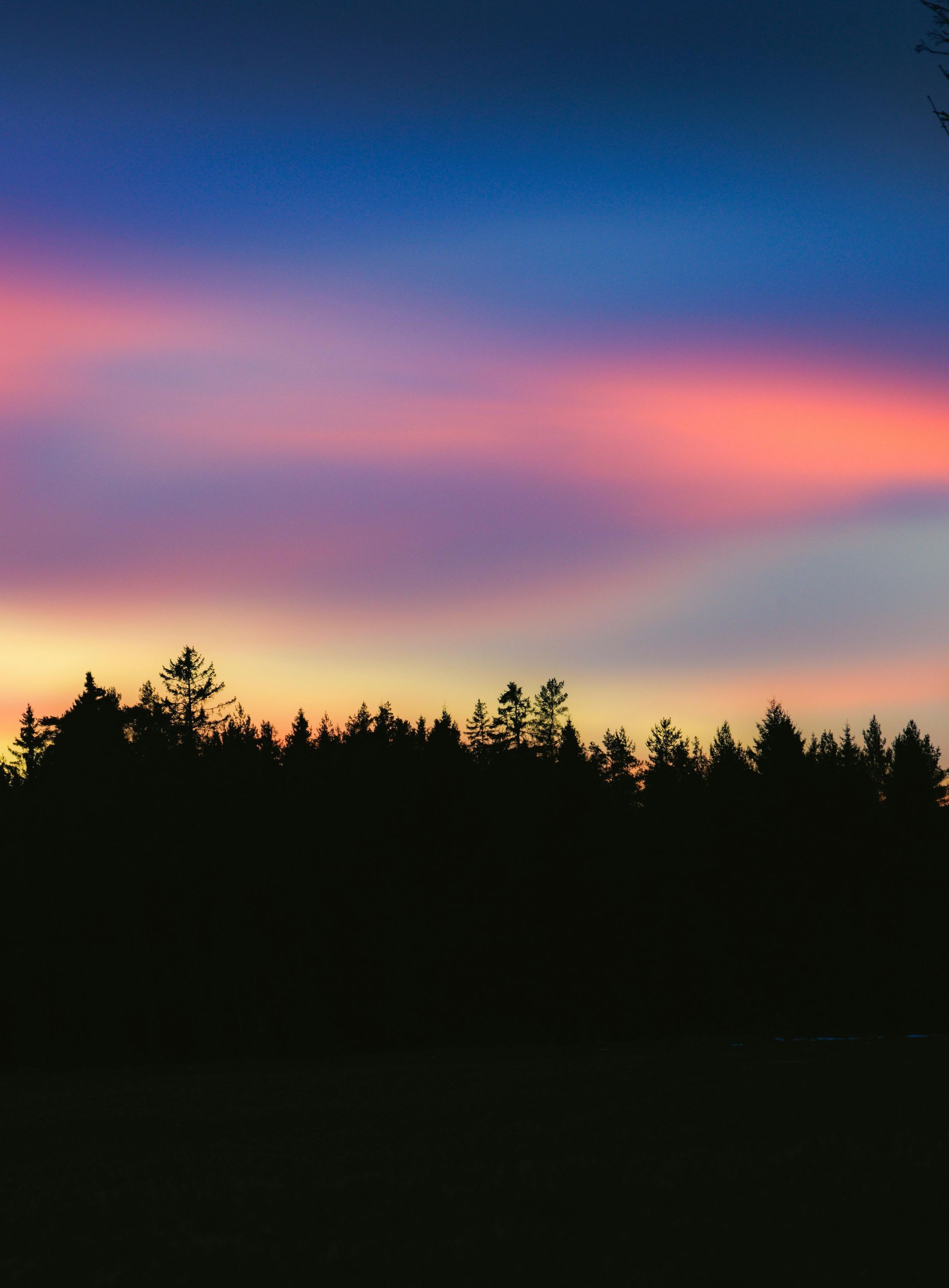 Sunset with colorful sky and trees.