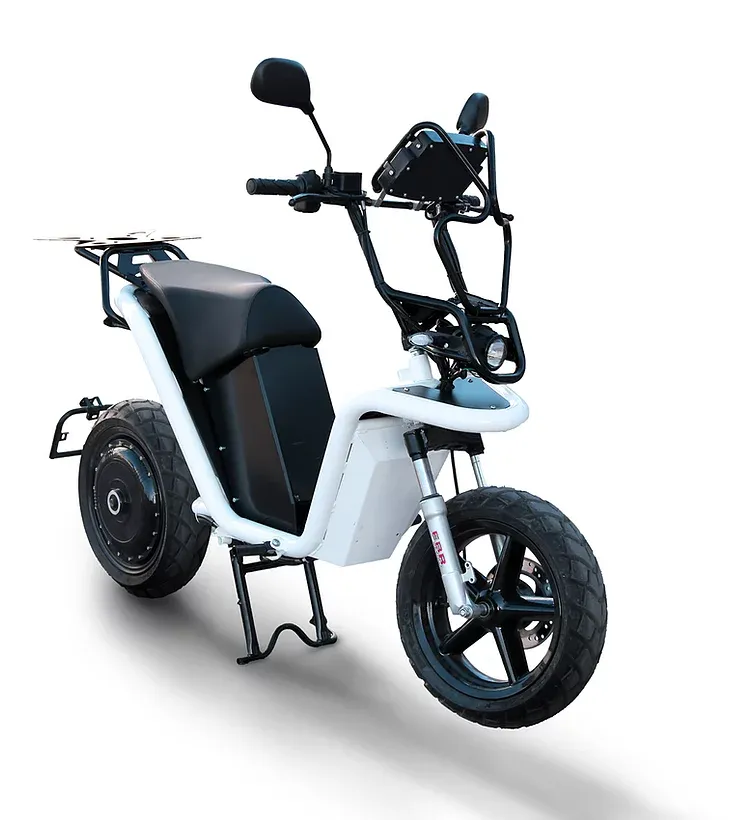 Elektrofahrrad