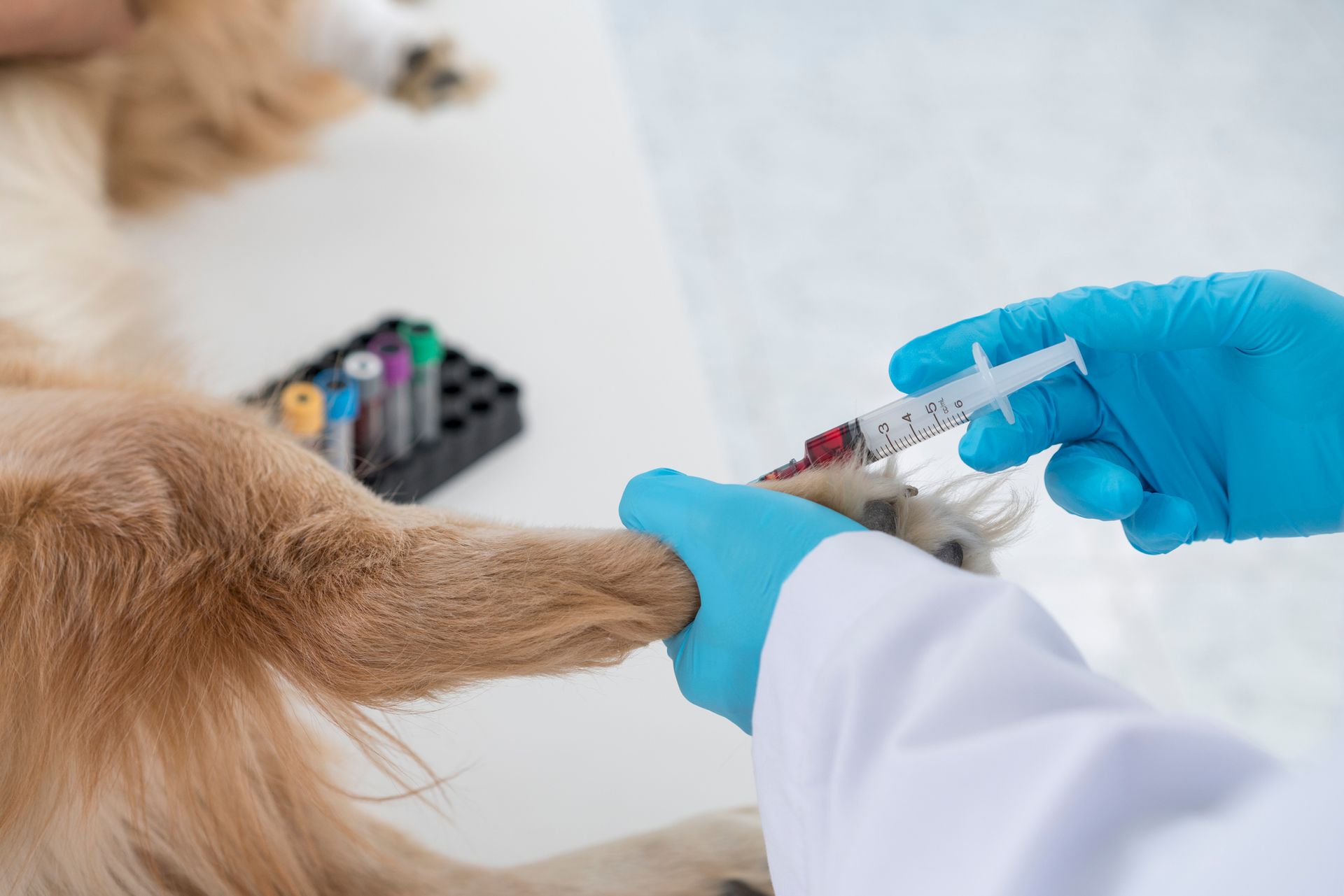 chirurgia preventiva