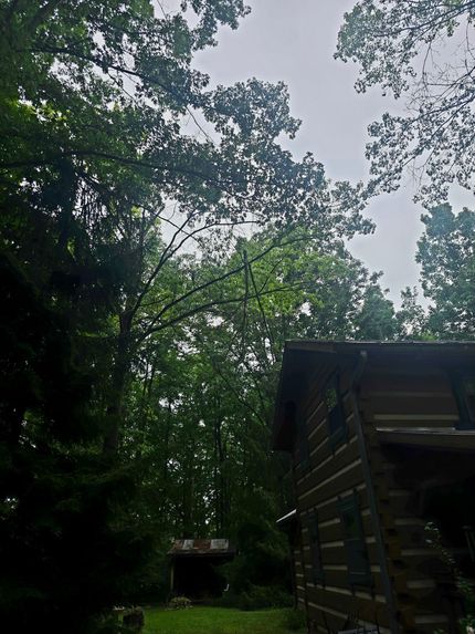 A log cabin nestled among dense green trees under a cloudy sky.
