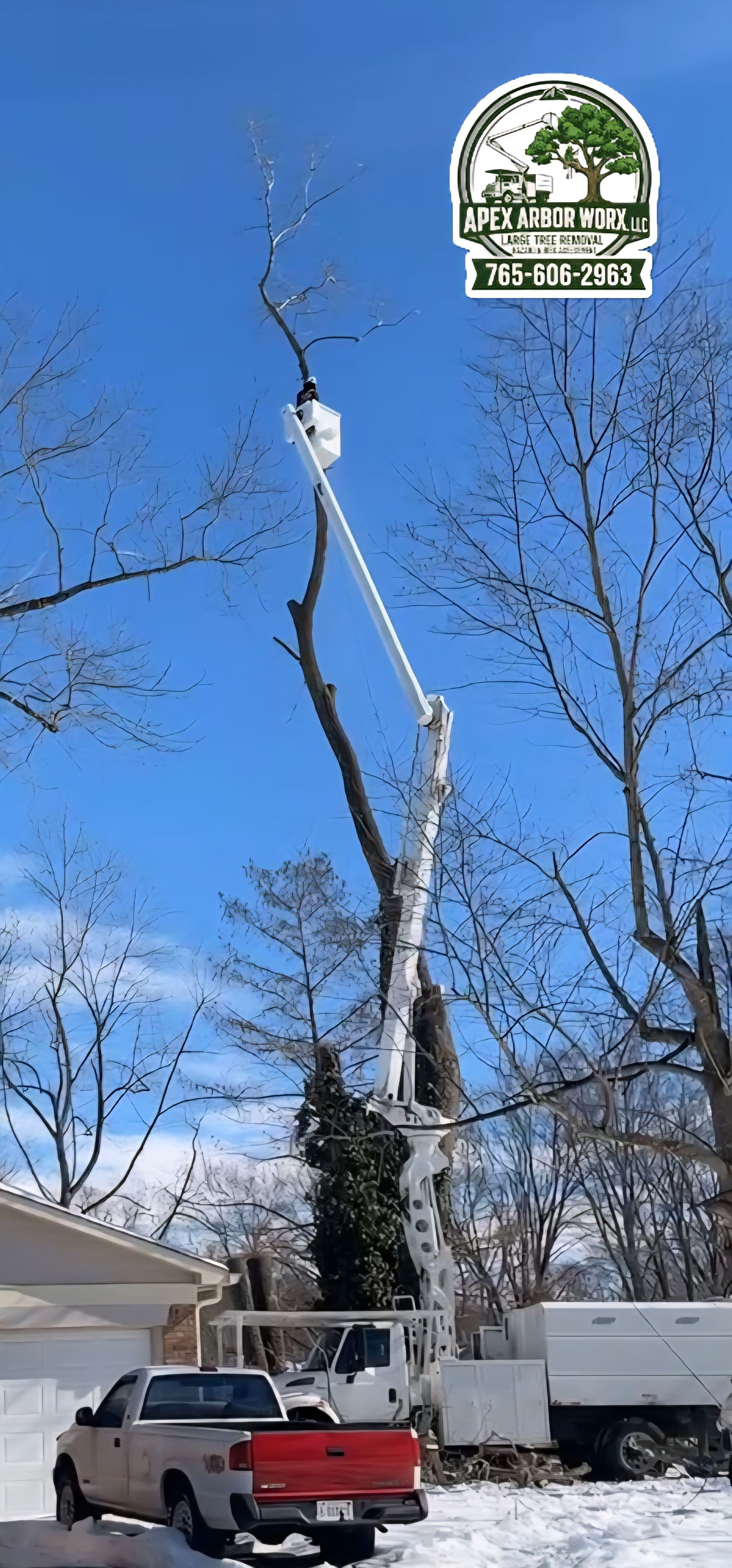 A white cherry picker truck with an extended boom reaches high into a bare tree in a snowy, sunlit residential yard.