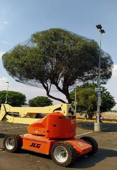 FUMIGADORA DEL CENTRO