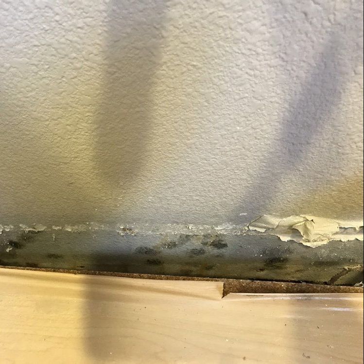 wall with molds