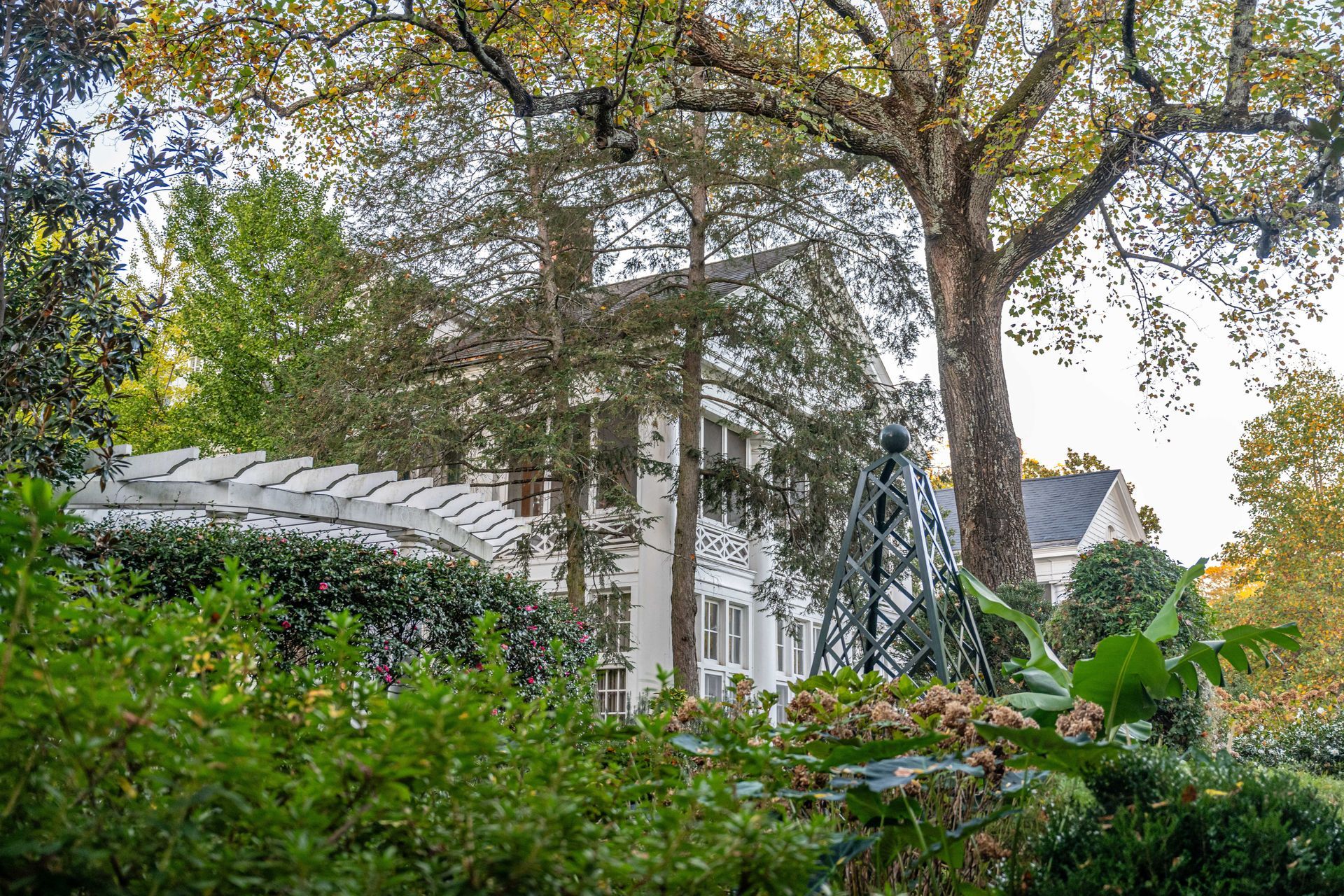 Lush garden with tall trees and a white building partially visible behind the foliage Lush garden with tall trees and a white building partially visible behind the foliage