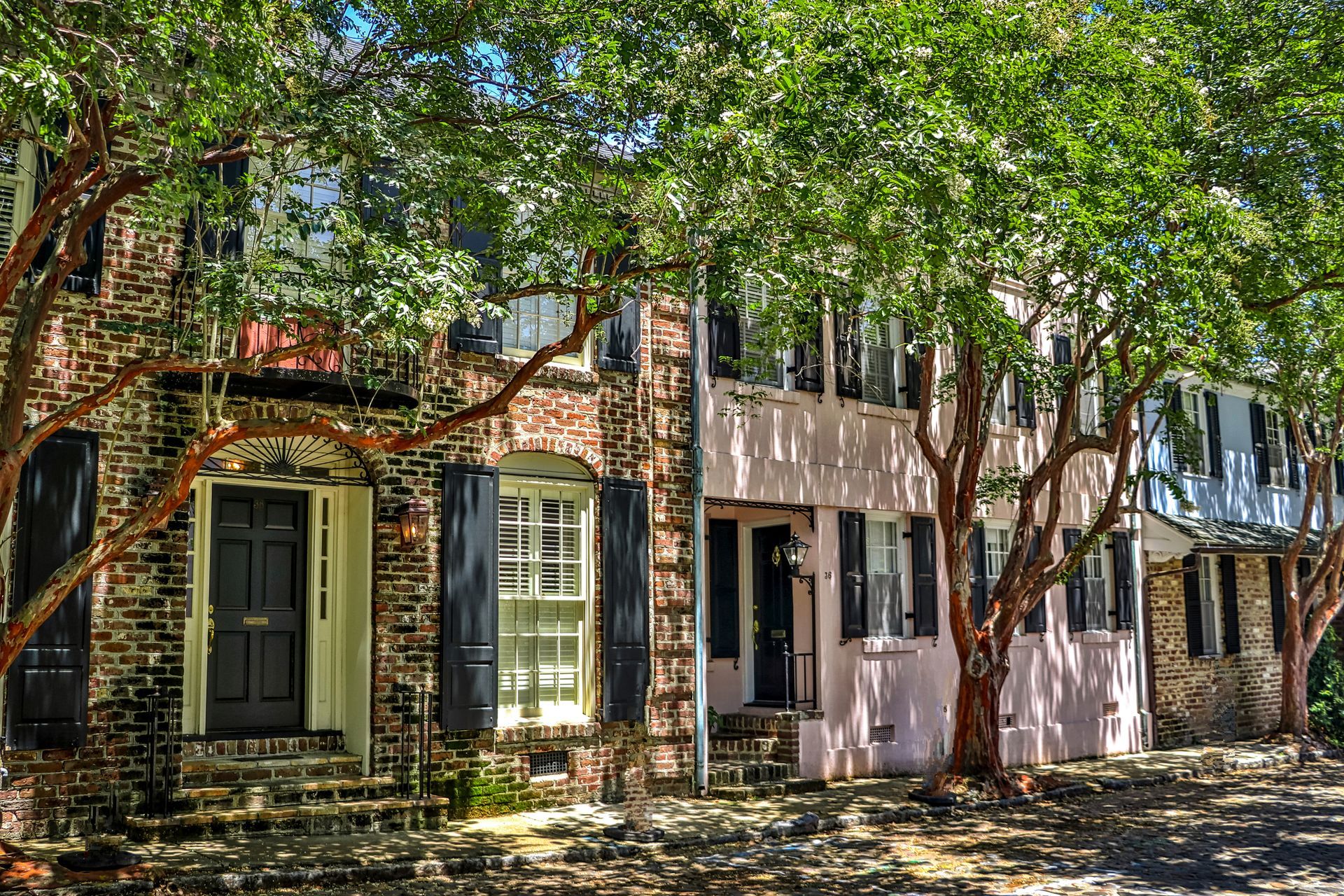 Historic brick townhouses shaded by leafy trees on a sunlit street Historic brick townhouses shaded by leafy trees on a sunlit street