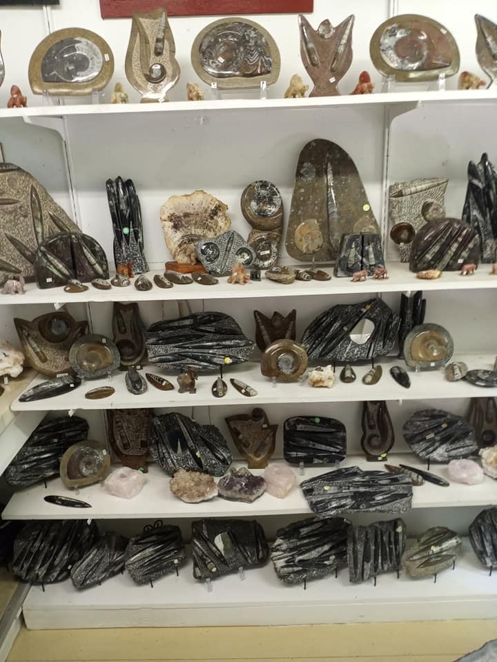 Shelves filled with assorted rocks, crystals, and polished mineral specimens.