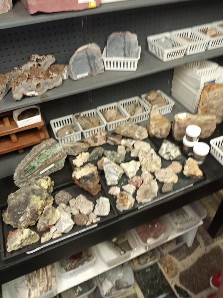 Shelf of assorted rocks and mineral specimens in bins and trays on display.