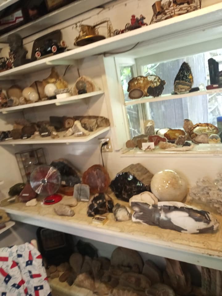 Shelves filled with assorted crystal and mineral specimens in a display room.