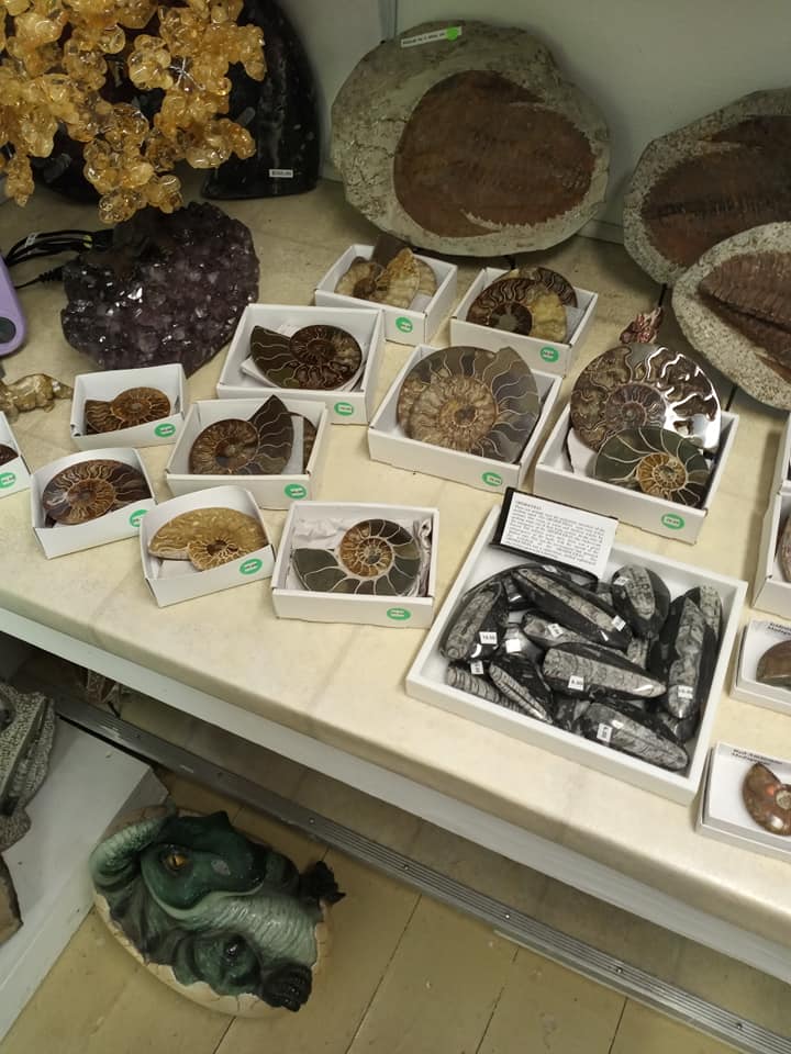 Crystal and mineral specimens displayed in boxes and trays on a shop shelf
