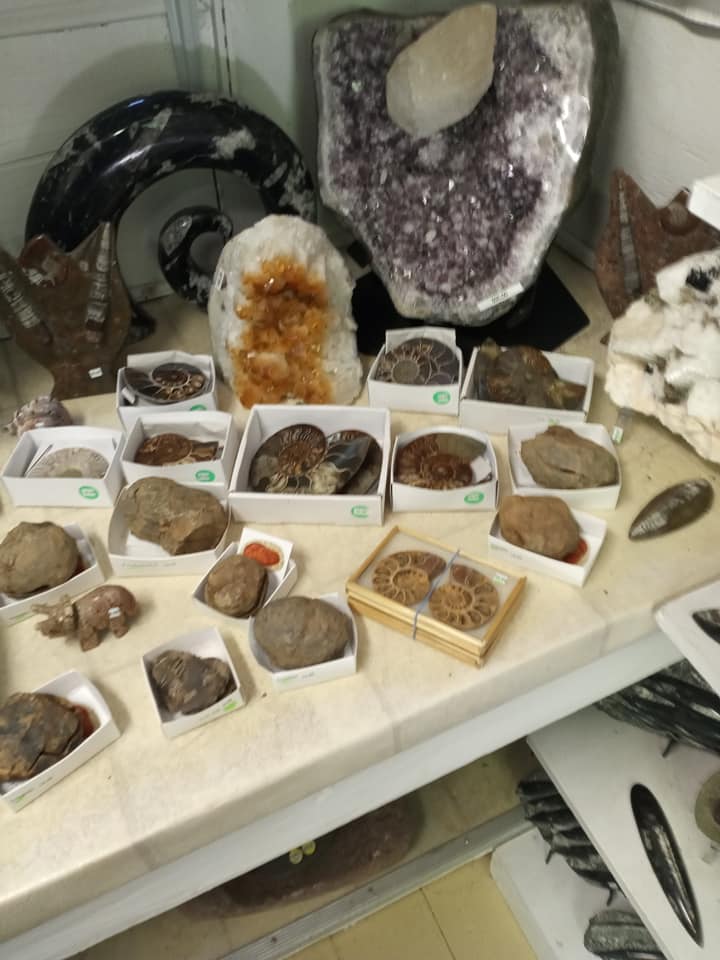 Table of assorted mineral and crystal specimens, including geodes and polished stones, displayed in white trays.