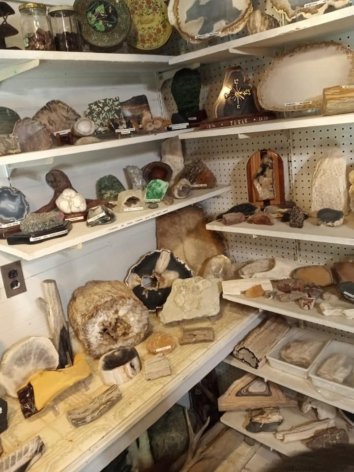 Shelves of assorted rocks, minerals, and fossils displayed in a small museum or shop room