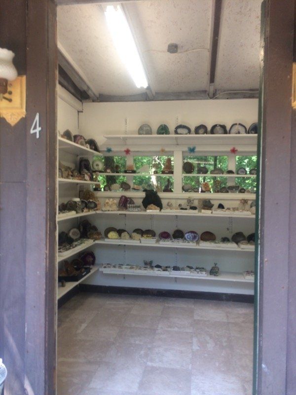 Shelved display of potted plants and helmets in a small indoor alcove by a doorway