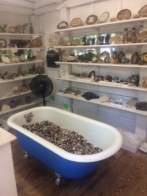 Blue-and-white clawfoot bathtub filled with seashells in a room lined with shelves of shell decor
