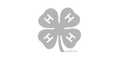 A four leaf clover with the letter h on it
