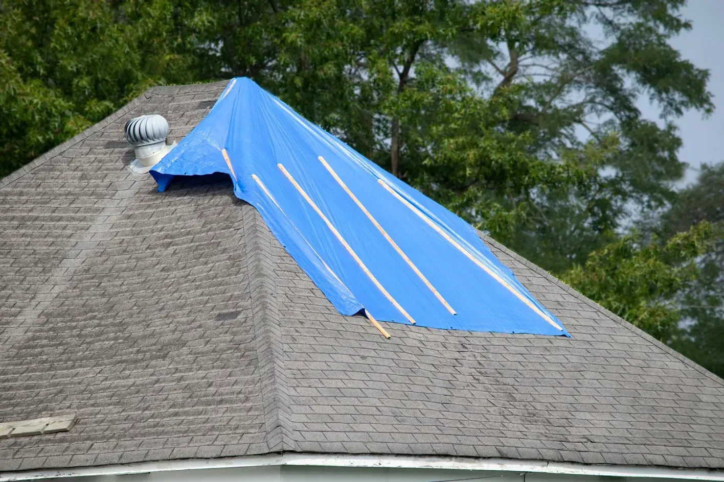 Blue tarp covering a damaged section of a dark shingled roof.