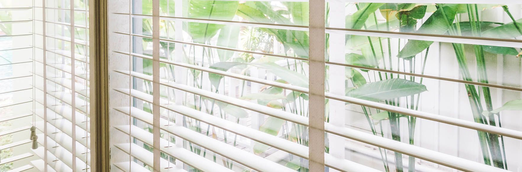 Wooden blinds in front of a window, with a view of green foliage outside.