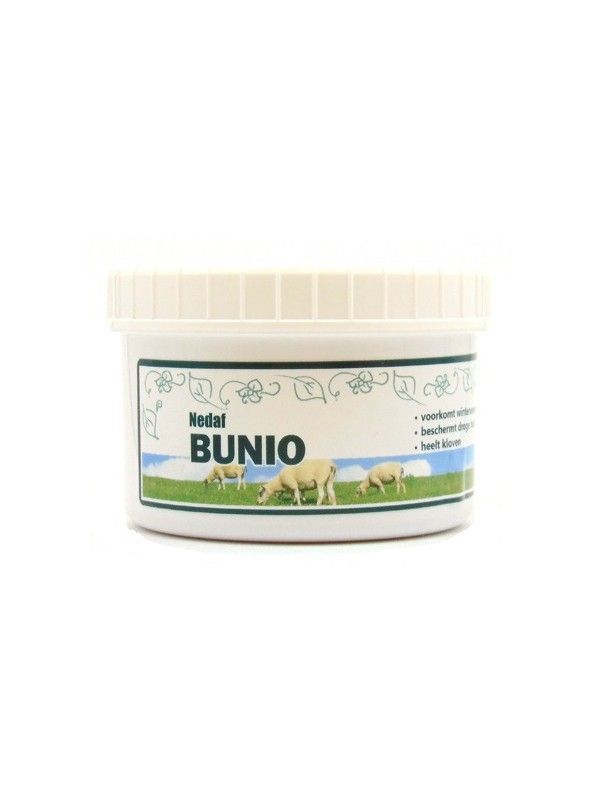 Bunio zalf