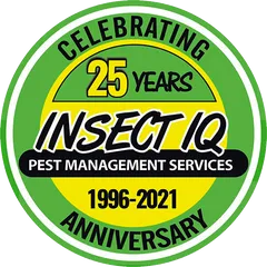 Insect IQ