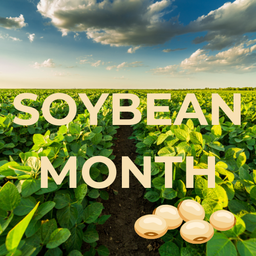 Highlighting Nano-Yield's soybean trials. 